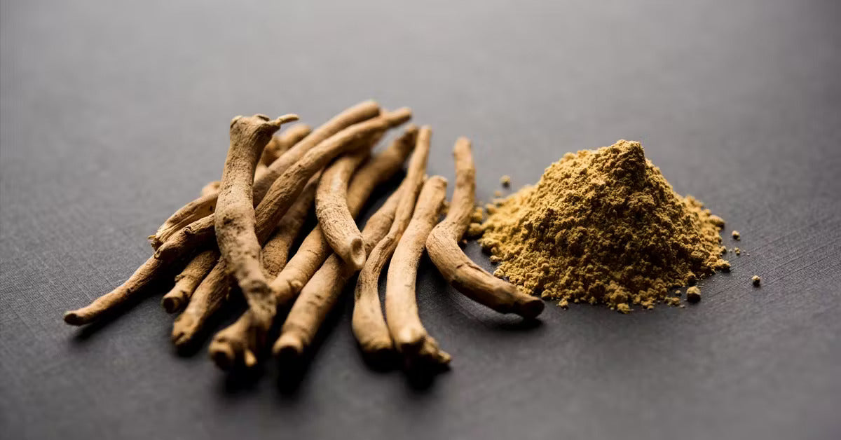 Ashwagandha: The Timeless Adaptogen for Holistic Balance